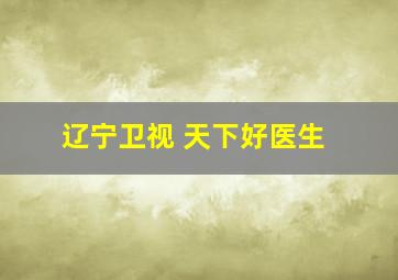 辽宁卫视 天下好医生